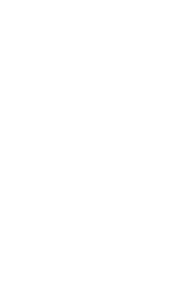 1 Polygon 7