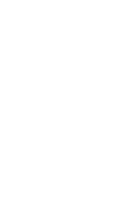 2 Vector